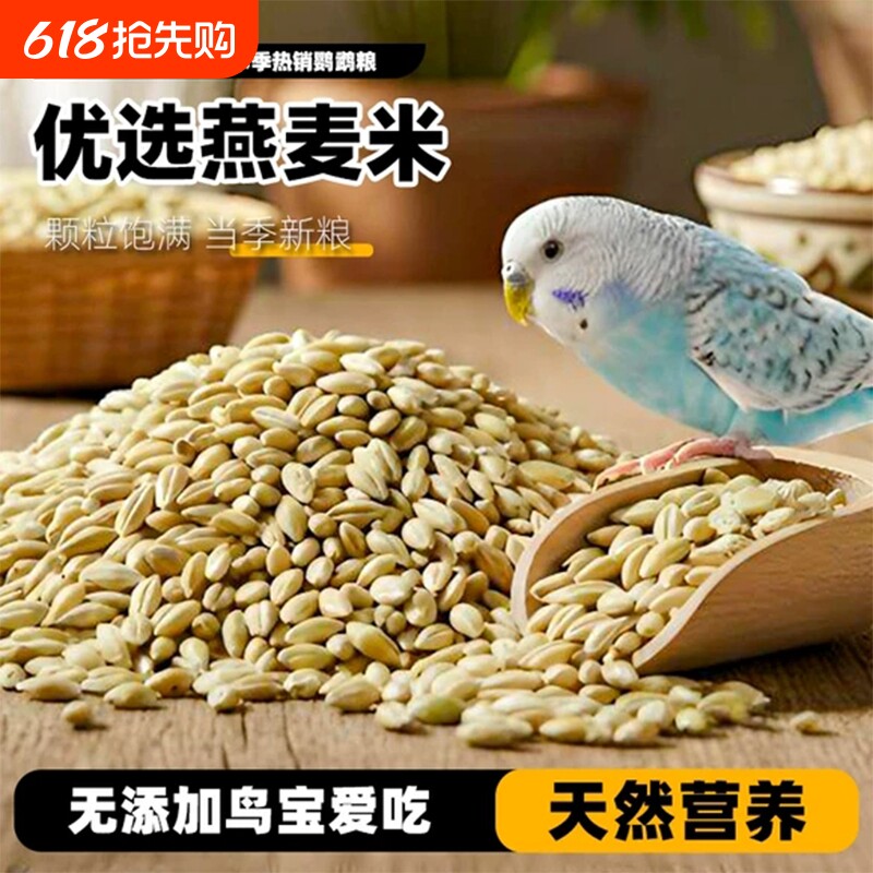 鹦鹉饲料加纳利子鸟食鸟粮新货大颗粒玄凤虎皮牡丹中小型鹦鹉饲料