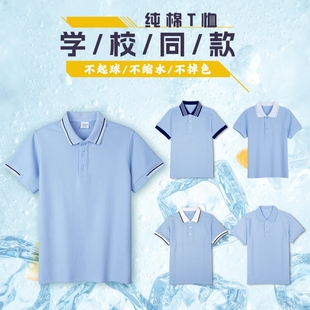 小学生天蓝色翻领POLO衫 校服初中生T恤班服高中生短袖 上衣夏薄款