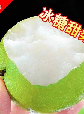 2026年安徽砀山皇冠梨青皮梨蜜梨