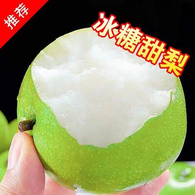 2026年安徽砀山皇冠梨青皮梨蜜梨