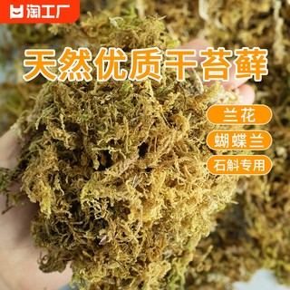 干苔藓水苔青苔兰花蝴蝶兰石斛种植专用营养土乌龟垫材基质养花