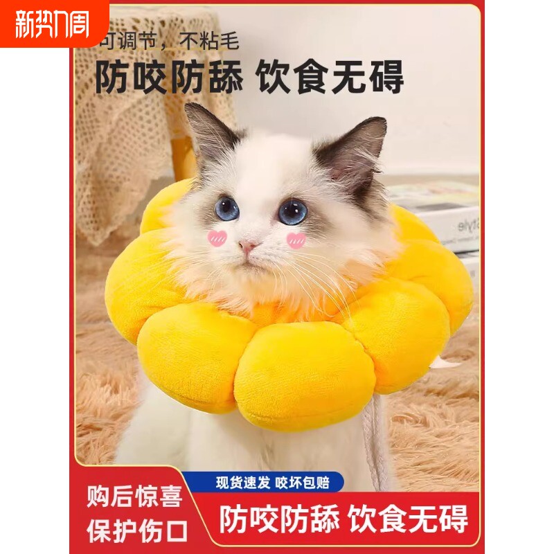 瓜洲牧伊丽莎白圈猫绝育项圈防舔英短猫咪脖圈颈圈头套狗宠物用品