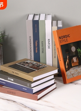 ins简约家居仿真书模型道具摆件