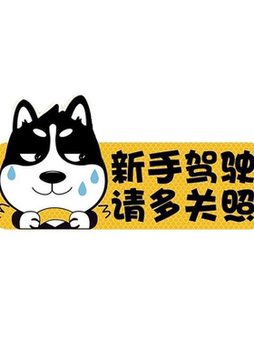 实习车贴新手上路|超1.7万次加购