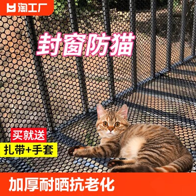 黑塑料网格阳台窗户防护网