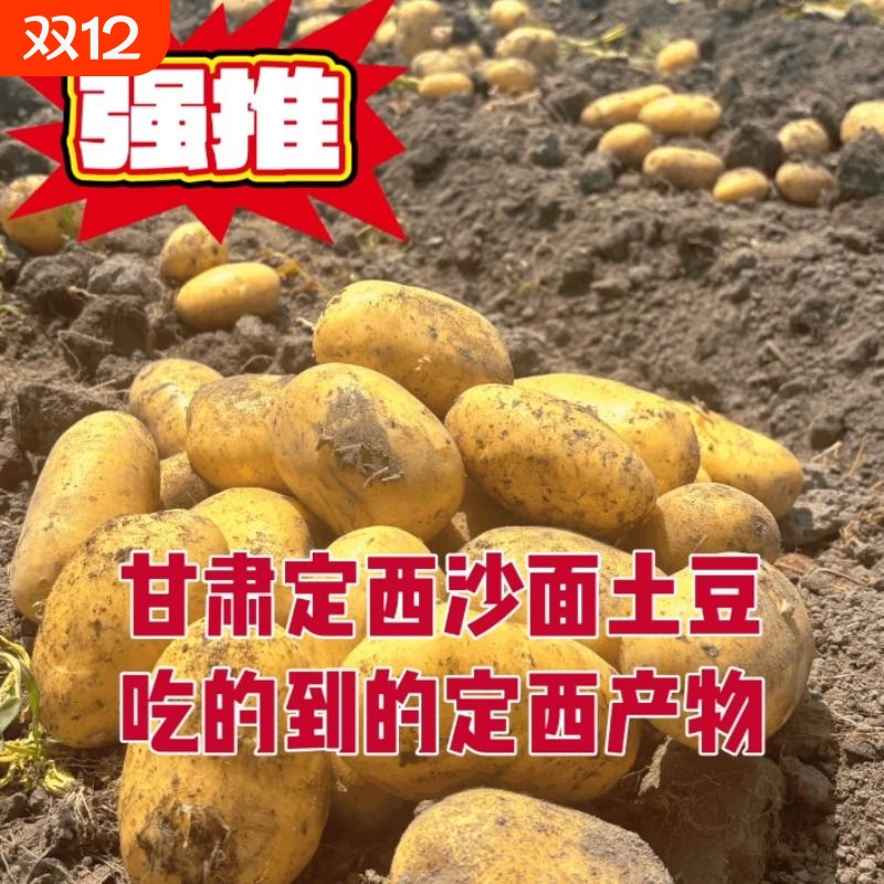 甘肃定西土豆洋芋新鲜现挖甘肃土豆马铃薯农家种高淀粉