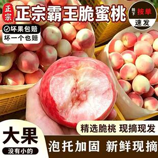 【头茬】山西红不软脆蜜桃新鲜脆甜桃子甜毛桃大果时令应季大果