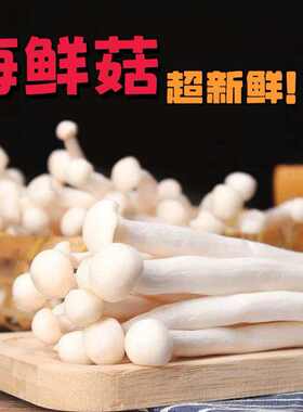 海鲜菇鲜菇鲜嫩火锅烧烤百搭先发挑夫生鲜煲汤炖汤包袋装菌菇新鲜