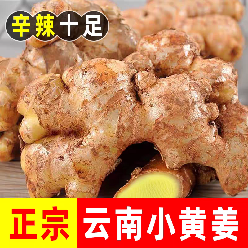 正宗云南小黄姜新鲜嫩老姜生姜土姜仔姜调料厨房