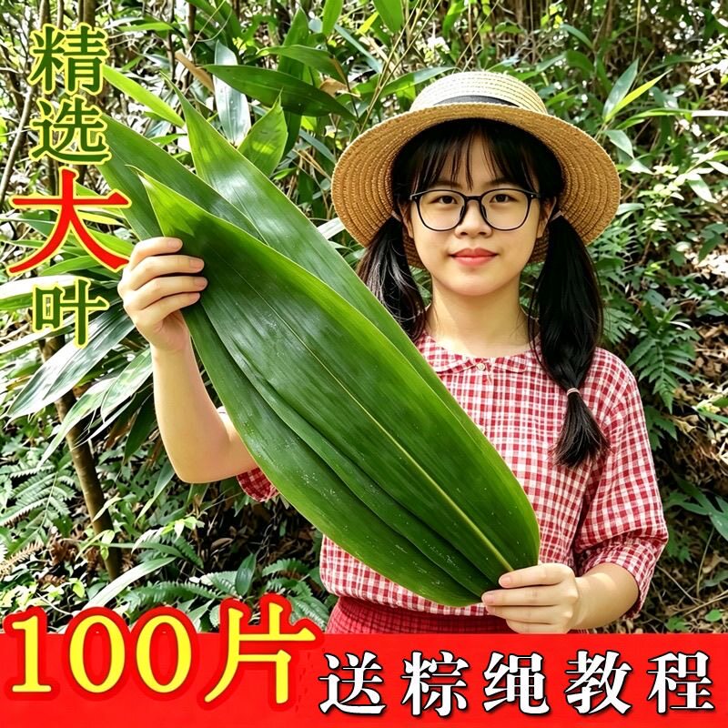 2026鲜粽叶真空保鲜天然野生叶大完整无人工色素送教程新货天然