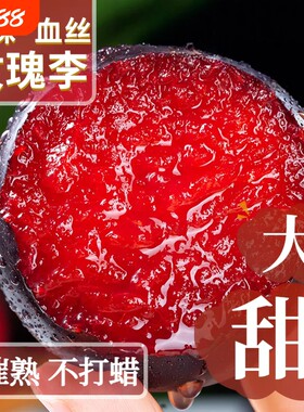 玫瑰5斤新鲜水果黑布林大玫瑰李红心鸡血李三华应季鲜果现摘脆甜