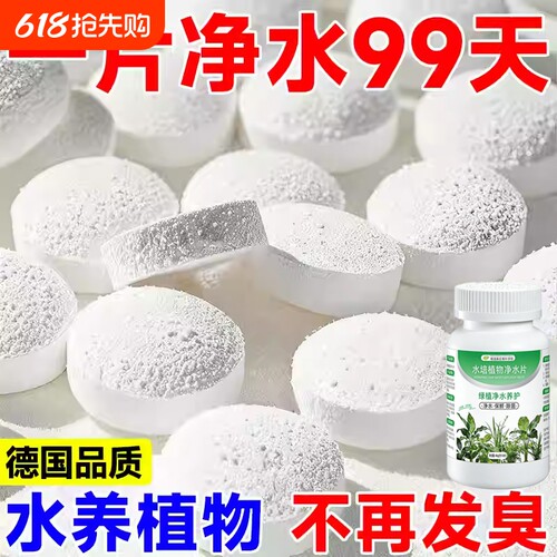 水培植物净水片鲜花保鲜剂不碗莲专用消毒片净化水质营养液绿植