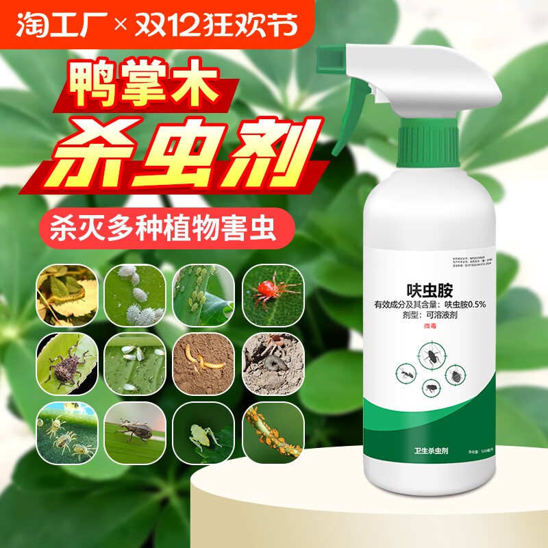鸭掌木杀虫剂鸭脚木介壳虫专用药除蚧壳虫驱虫鹅掌木虫害生专打治