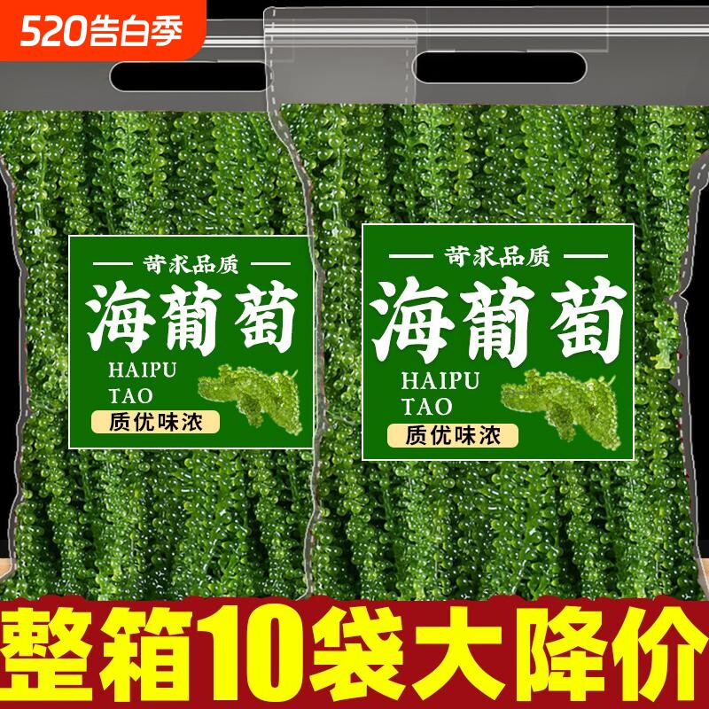海葡萄新鲜即食海带零食泡发网红爆海洋蔬菜植物绿色鱼子酱凉拌菜