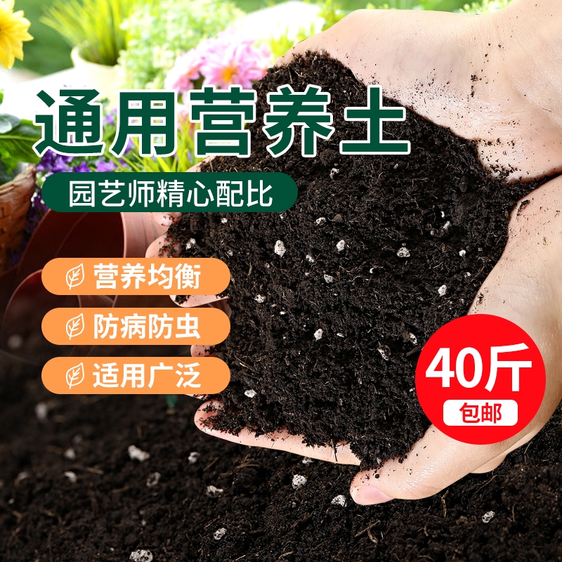 营养土通用型种菜养花专用土壤有机花肥多肉家用盆栽花卉种植花土