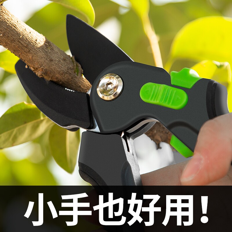 园艺剪刀修剪树枝专用工具剪果树花艺园林粗树枝花卉嫁接剪刀新款