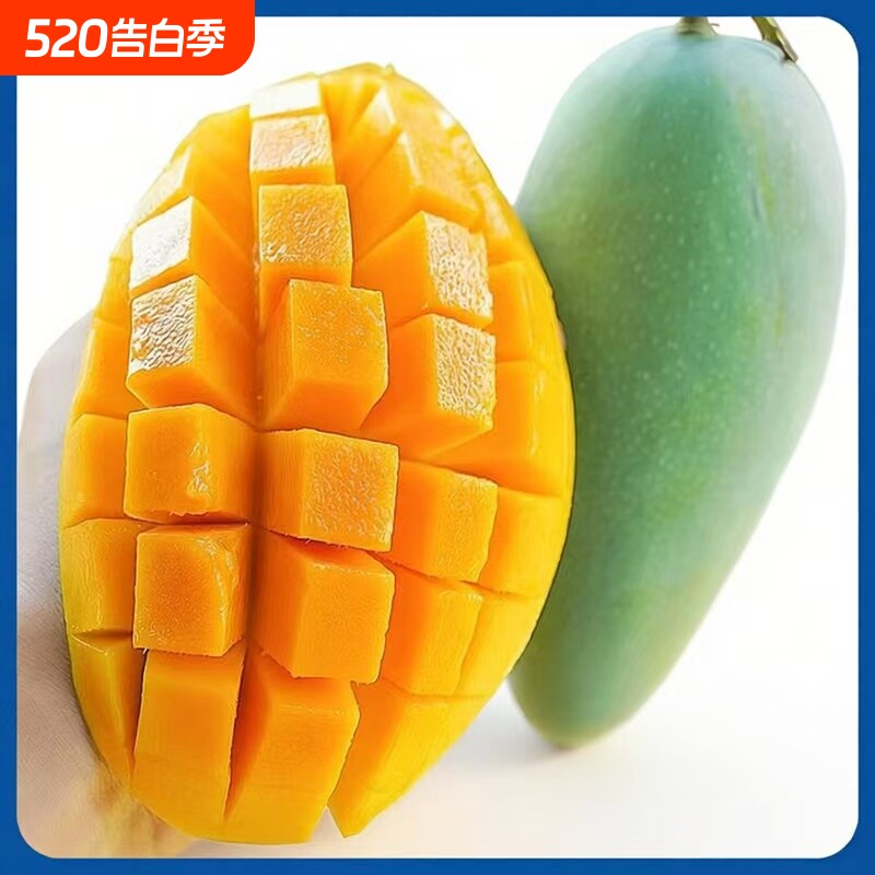 精品一级芒果新鲜无丝芒果应季整箱脆甜孕妇水果天然清香青芒包邮