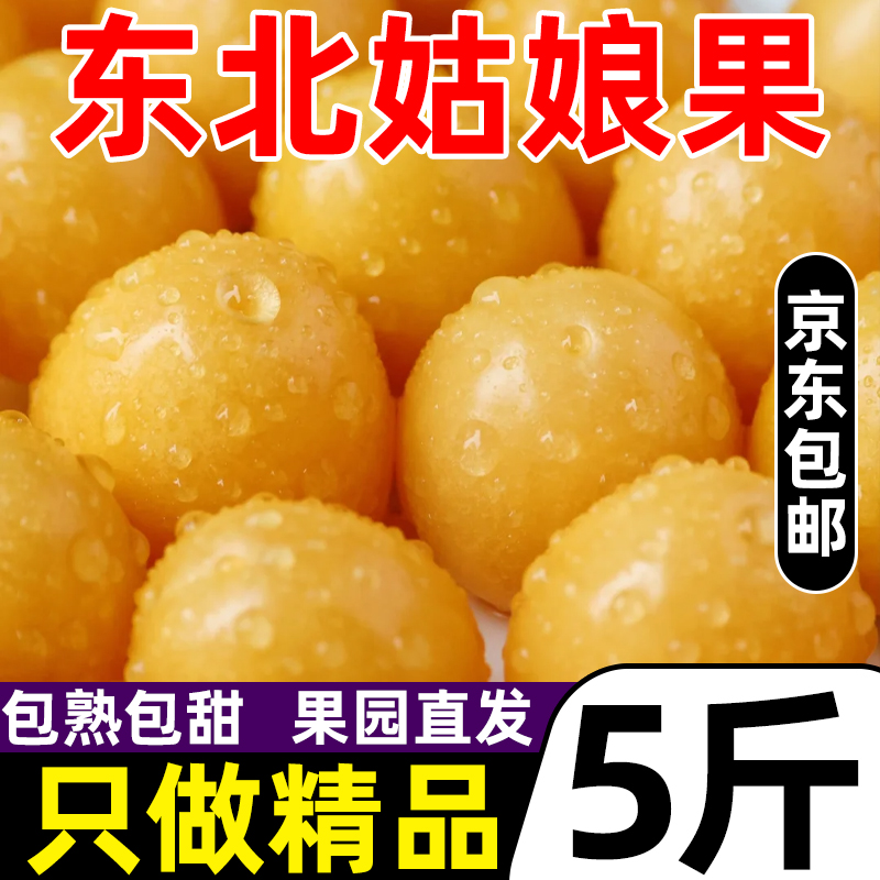 东北姑娘果大果新鲜当季水果特产灯笼果小金豆甜菇娘果京东包邮