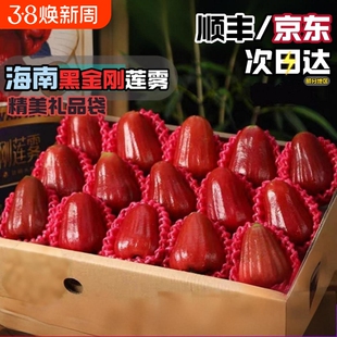 顺丰京东海南三亚黑金刚莲雾精品大果脆甜多汁新鲜包邮连雾礼盒装