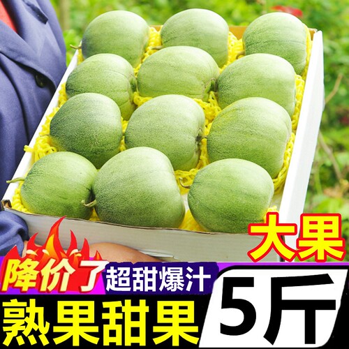 【甜瓜好评榜】官方推荐