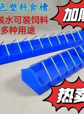 加厚蓝色塑料食槽可装水可装饲料多格设计防撒漏适用于鸽子耐用