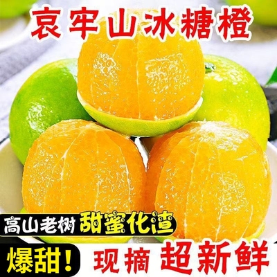 正宗云南哀牢山冰糖橙水果新鲜应当季橙子青皮甜现摘产地直发橘子