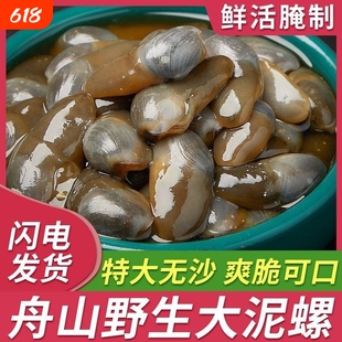 醉泥螺特大黄泥螺鲜活腌制潮汕生腌即食罐装舟山特产海鲜无沙新鲜