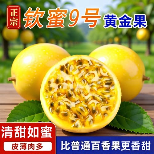 钦蜜9号黄金百香果新鲜甜如蜜