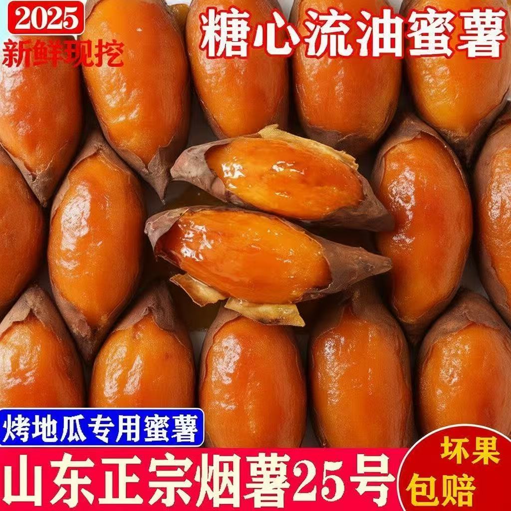 山东烟薯25号红薯糖心蜜薯新鲜番薯农家自种沙地超甜地瓜软糯