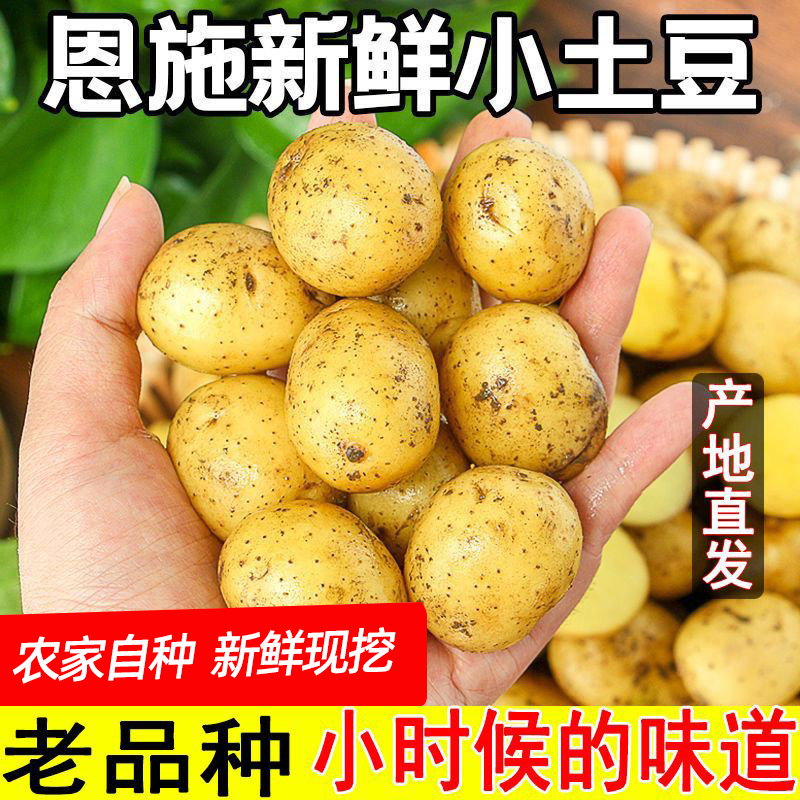 恩施小土豆现挖湖北新鲜黄心土豆当季蔬菜整箱迷你马铃薯洋芋农家