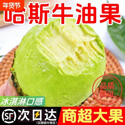 【SVIP】云南哈斯牛油果奶油大鳄梨当季新鲜水果宝宝辅食整箱包邮
