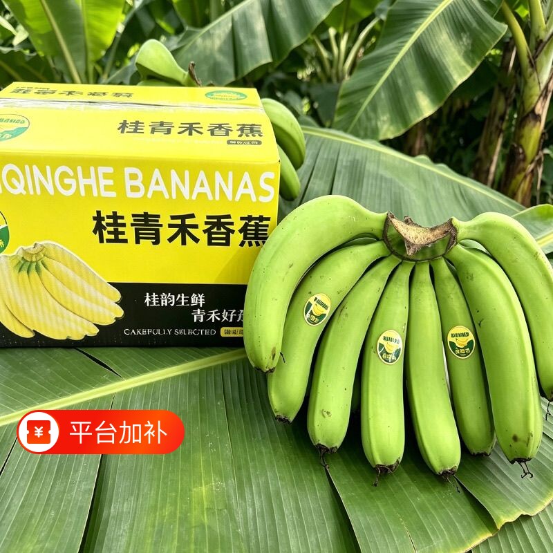 高山香蕉新鲜威廉斯当季水果薄皮自然熟整箱批发包邮青禾香甜青皮