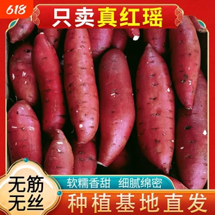 正宗红瑶蜜薯新鲜榴莲黄金蜜薯地瓜软糯香甜番薯榴莲蜜薯无公害