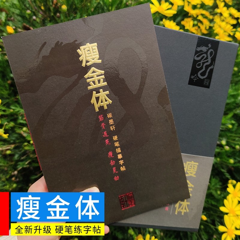 瘦金体字帖硬笔凹槽入门描摹进阶练字帖宋徽宗临摹千字文初学者初中生高中生大学生成人男生霸气女生字体漂亮大气速成临摹卡练字贴