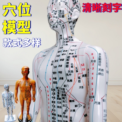 针灸穴位人体全身经络穴位模型