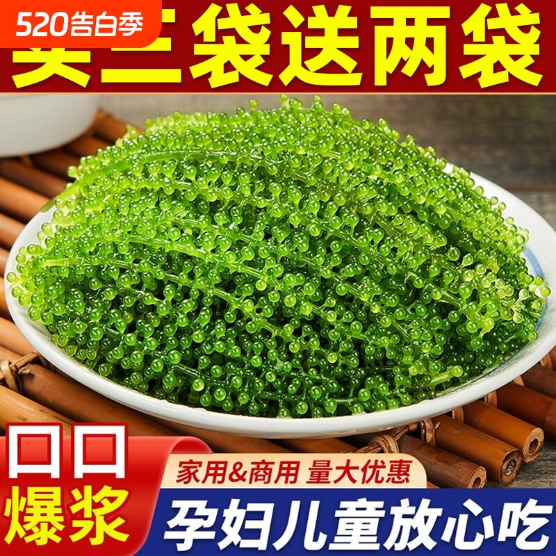 儿童海葡萄绿色鱼子酱即食泡发新鲜吃海葡萄送芥末酱料官方旗舰店