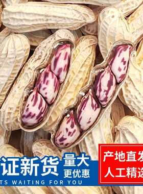 七彩花生2025年新云南特产旗舰店新鲜晒干带壳生熟花生米健康特色