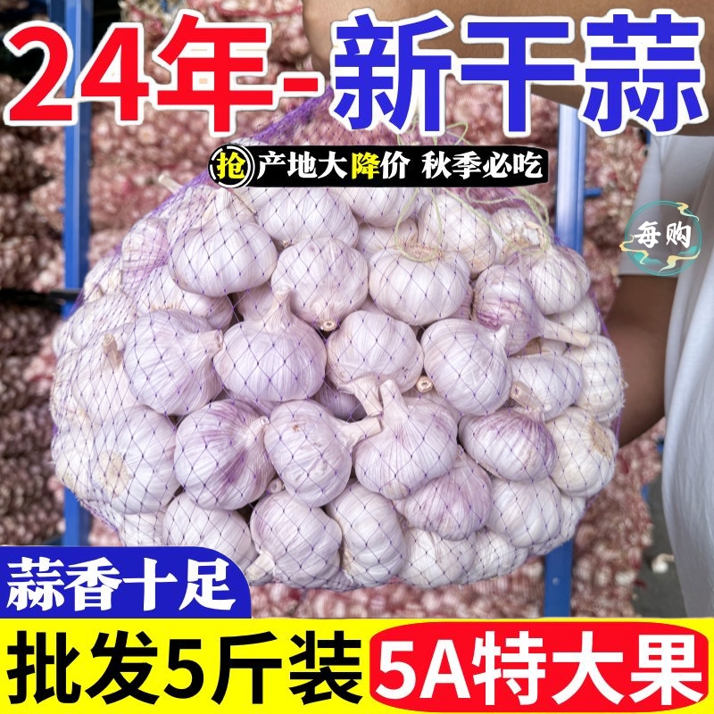 【超低价】山东金乡紫白皮大蒜干蒜新大蒜头3斤5斤10斤批发包邮装