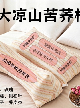 枕头荞麦壳三角连体枕家用护颈椎助睡眠反弓枕成人可拆卸组合枕芯