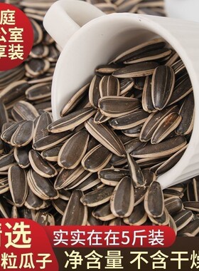 原味熟瓜子五香味新货瓜子葵花籽颗粒现发薄壳大瓜子水煮现炒袋装