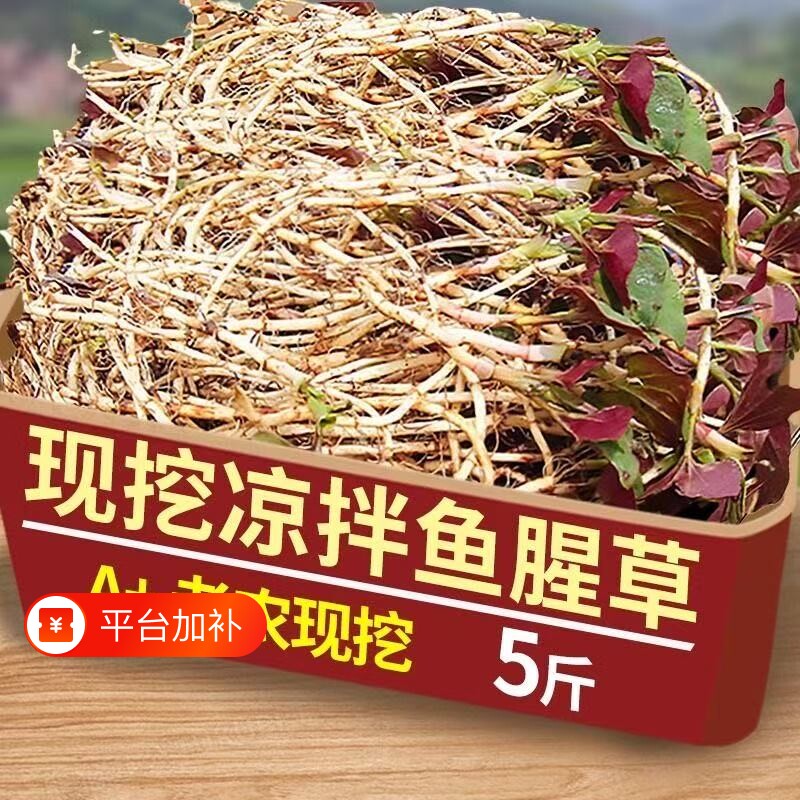 现挖鱼腥草新鲜折耳根嫩根正宗农家蔬菜节节草猪鼻孔泡沫箱加冰袋