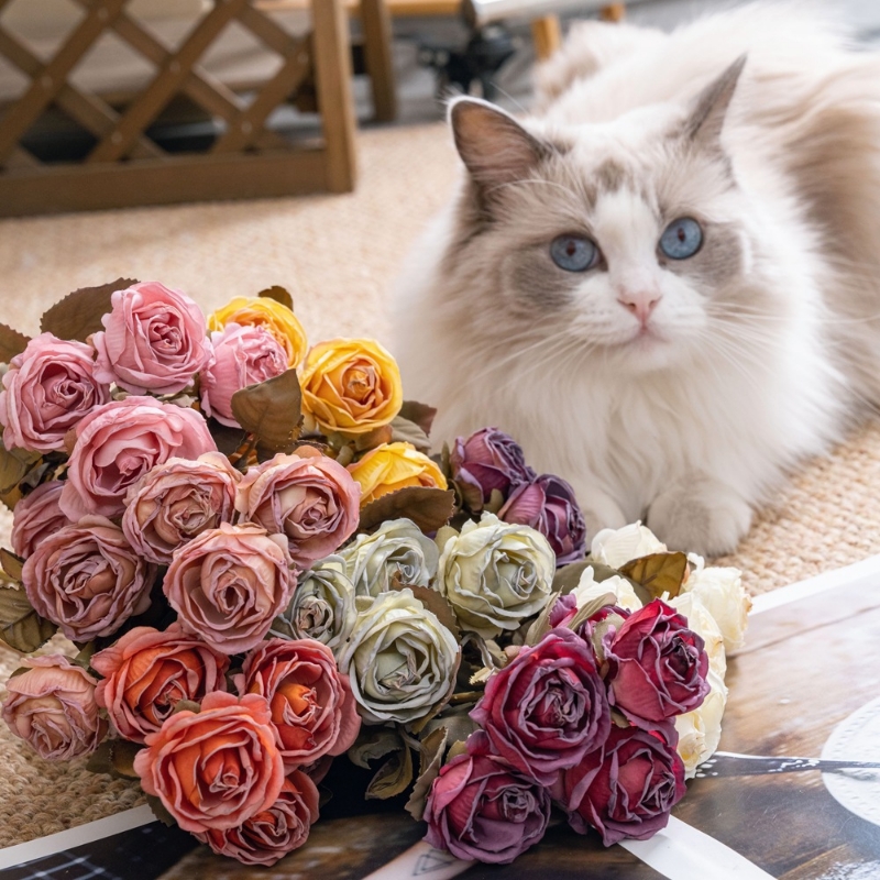 多头干枯泡泡玫仿真花假花绿植物婚庆装饰工艺品MW66901