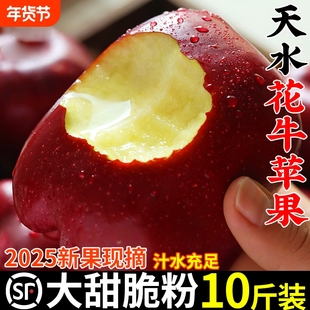 甘肃天水花牛苹果10斤新鲜当季水果整箱粉面甜蛇果红苹果现摘好吃