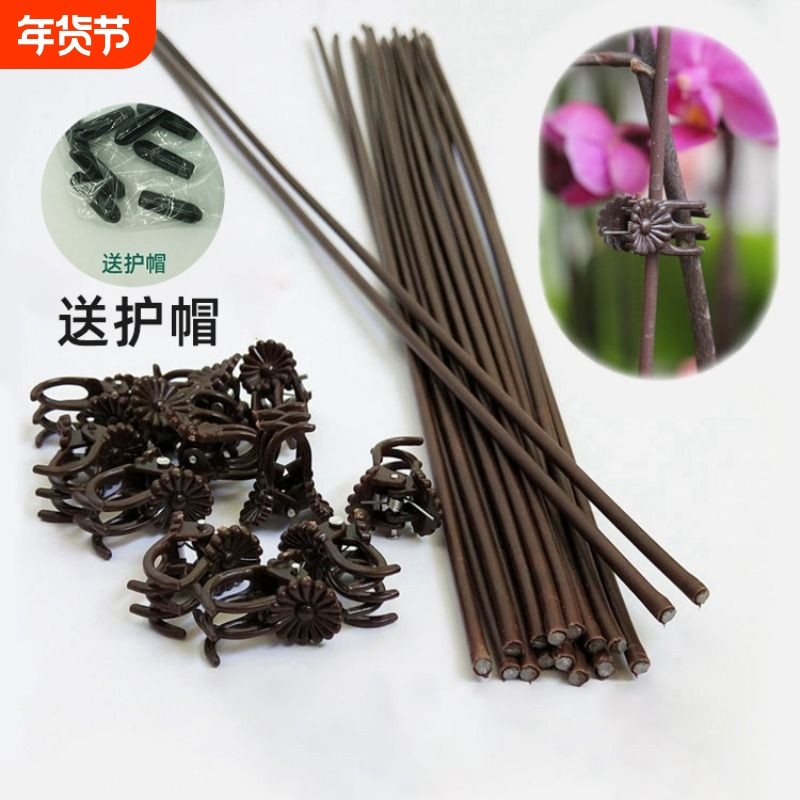 蝴蝶兰花支架兰夹子支撑杆植物爬藤花卉固定蔓藤类专用园艺兰花夹