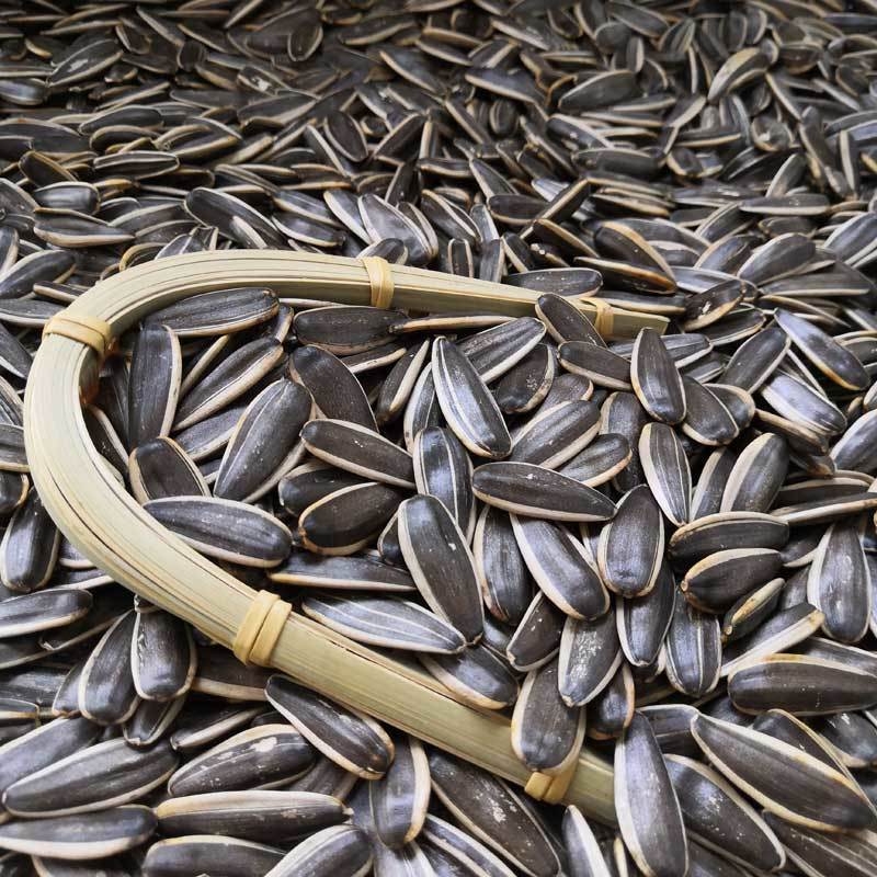 今年新瓜子新货生瓜子大颗粒原味现炒熟瓜子内蒙新鲜葵花籽批发