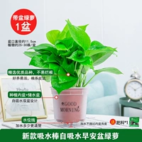 120#замороженный ранний бассейн [1] горшок +1 удобрения