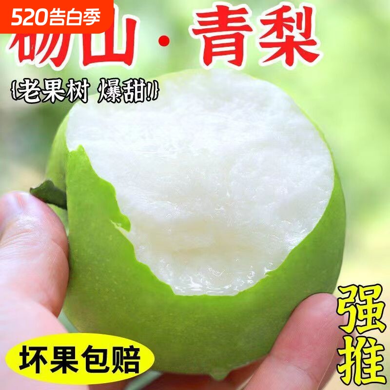 砀山翠玉梨梨子新鲜水果正宗青梨当季梨脆梨整箱包邮青皮现摘鲜果
