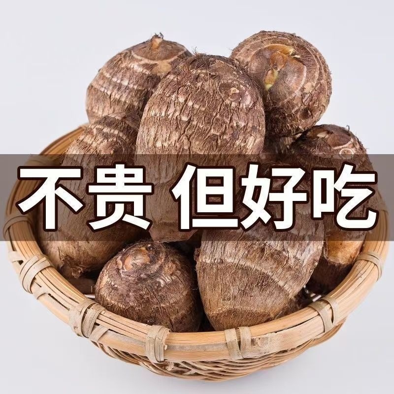 云南高山牛奶小芋头新鲜粉糯现挖5斤牛奶芋头小香芋小毛芋艿儿头