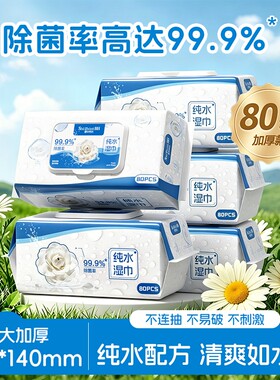 99.9%除菌湿巾家用大包湿纸巾清洁巾纸手口可用卫生无酒精