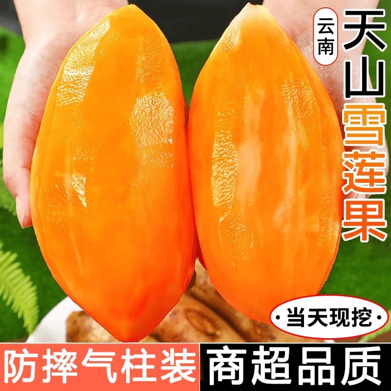 现挖云南天山雪莲果气柱装防摔新鲜水果当季整箱特红心雪连果一级